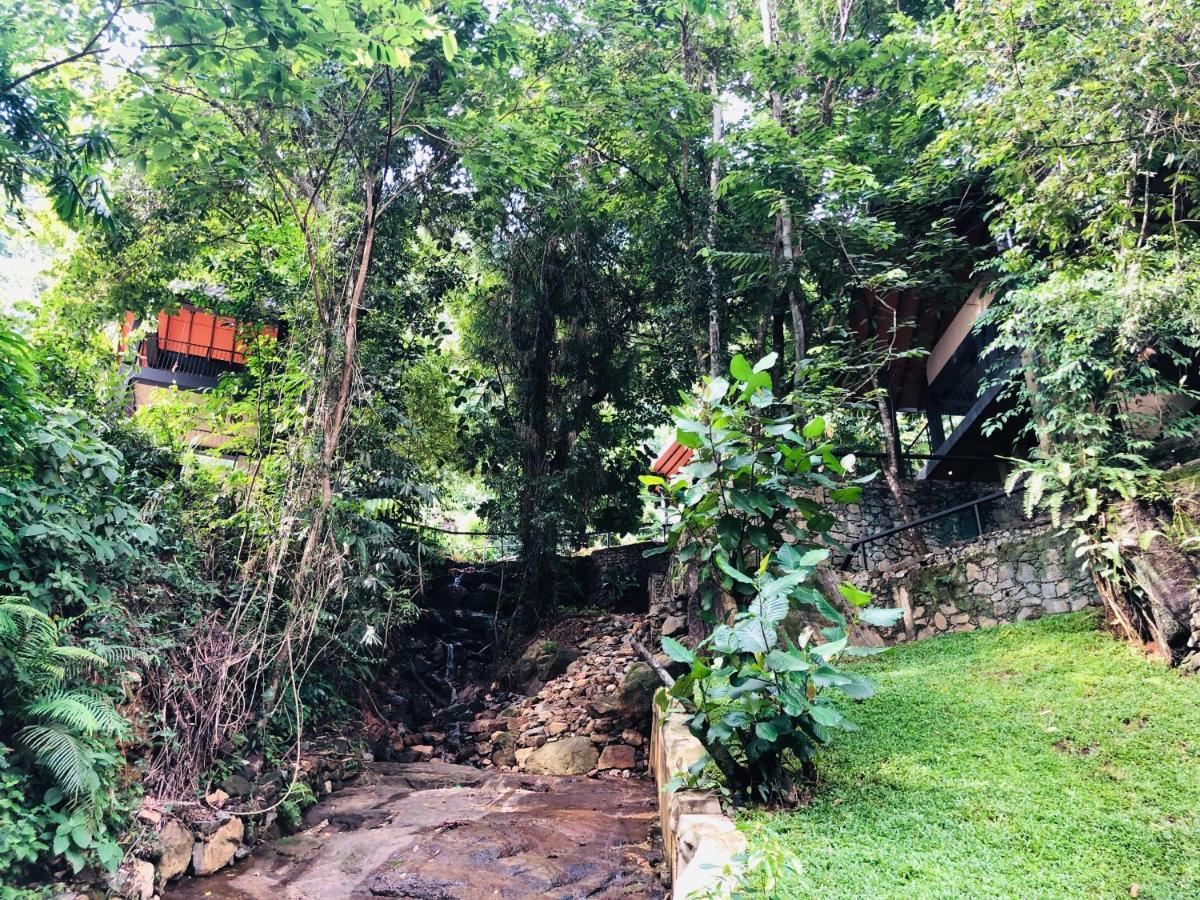 Forest Shade Eco Resort Deraniyagala Ngoại thất bức ảnh