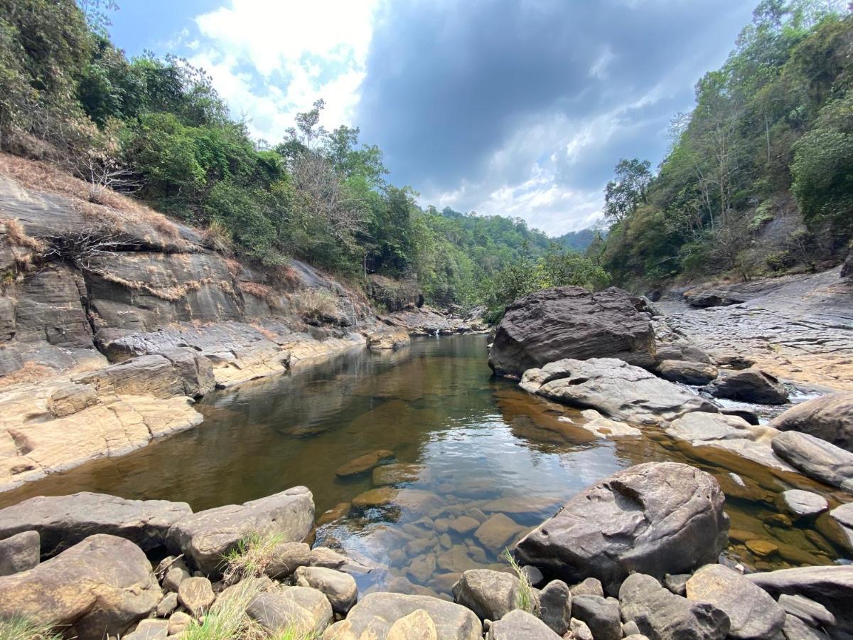 Forest Shade Eco Resort Deraniyagala Ngoại thất bức ảnh