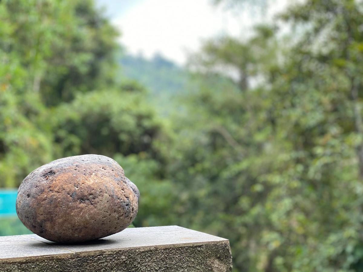 Forest Shade Eco Resort Deraniyagala Ngoại thất bức ảnh