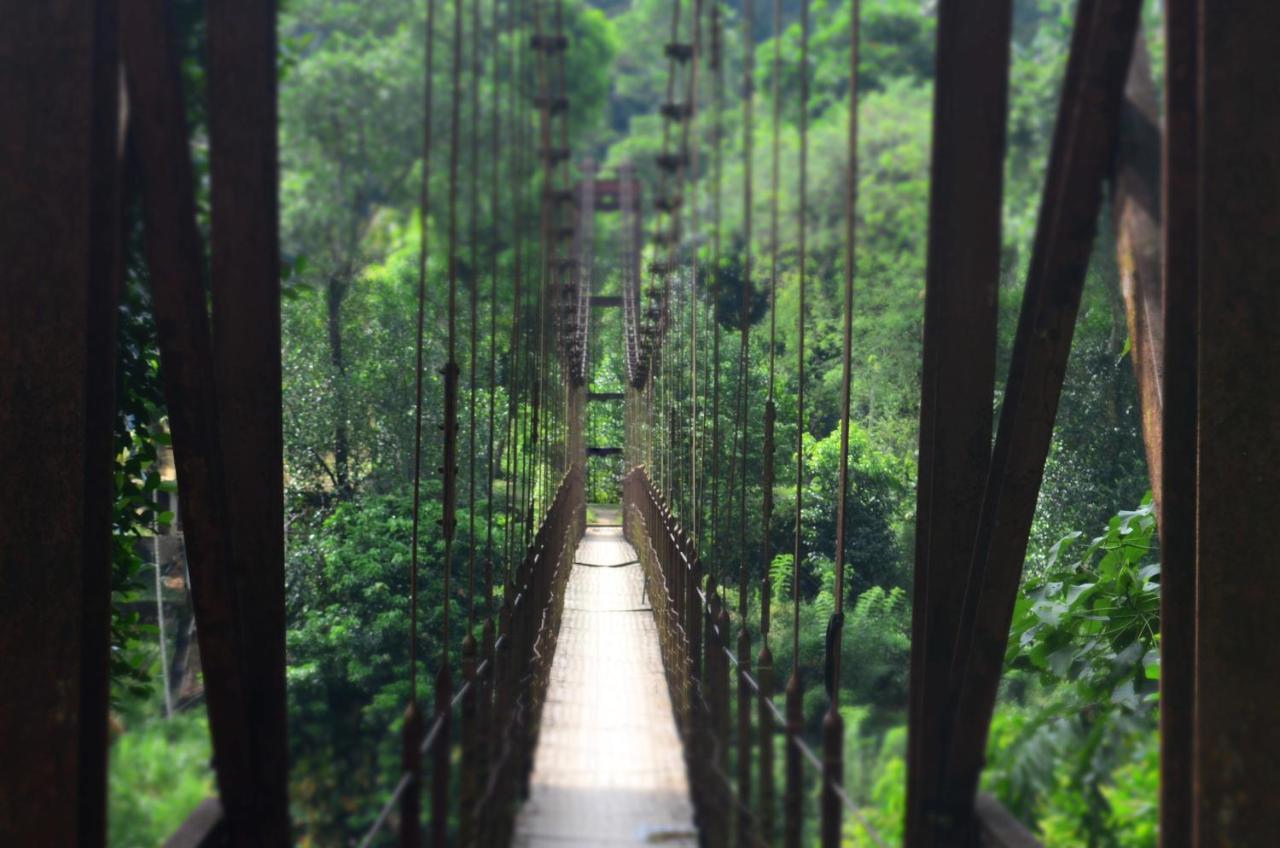 Forest Shade Eco Resort Deraniyagala Ngoại thất bức ảnh